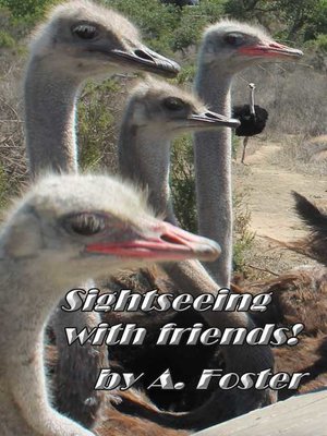 cover image of Sightseeing with Friends!